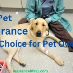 Pet Insurance: A Smart Choice for Pet Owners