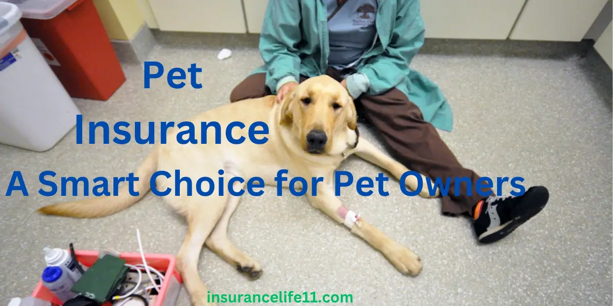 Pet Insurance: A Smart Choice for Pet Owners